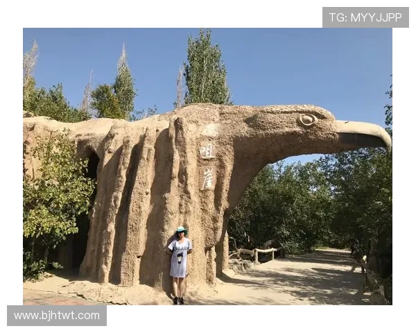 滑板纪实：见证杭州滑板队从传统到现代的蜕变与成长之路